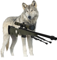 Sniperwolf